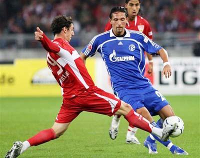 仅反映了特 仅反映了特